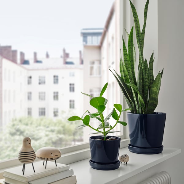 KLOTLÖNN plant pot with saucer, in/outdoor/black-blue, 19 cm