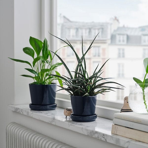 Ikea KLOTLÖNN - Plant pot with saucer, in/outdoor/black-blue, 9 cm