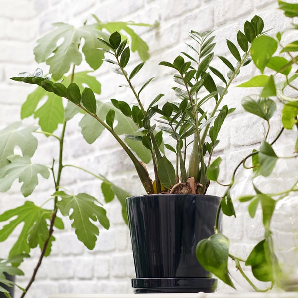 KLOTLÖNN - KLOTLÖNN Plant pot with saucer, in/outdoor/black-blue, 19 cm
