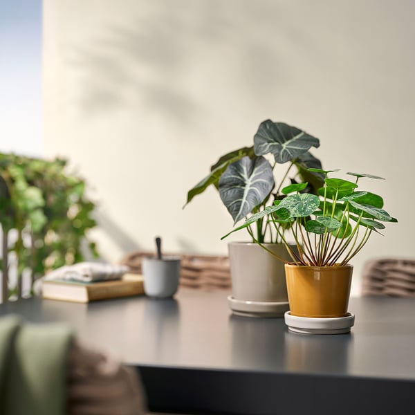 KLOTLÖNN plant pot with saucer, in/outdoor/dark yellow light beige, 9 cm