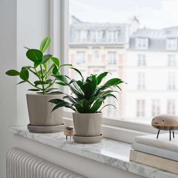 Ikea KLOTLÖNN - Plant pot with saucer, in/outdoor/grey/beige, 9 cm