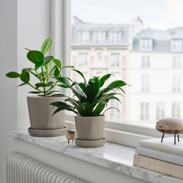 KLOTLÖNN plant pot with saucer, in/outdoor/grey/beige, 15 cm