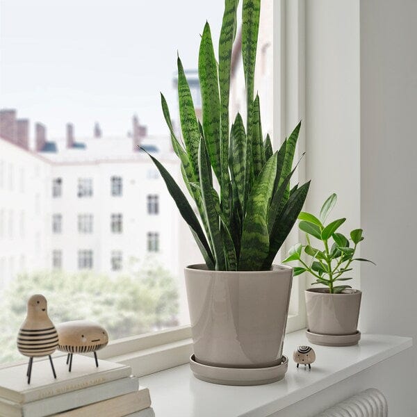 Ikea KLOTLÖNN - Vase with saucer, indoor/outdoor/grey/beige,19 cm