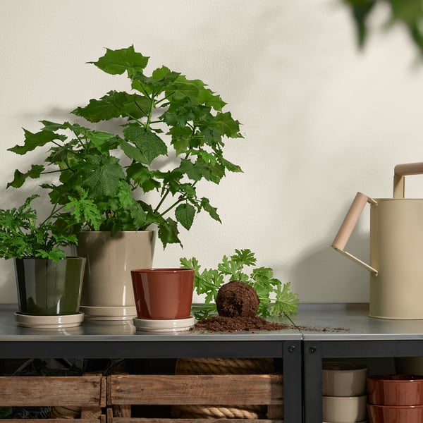 KLOTLÖNN plant pot with saucer, in/outdoor/dark grey-green light beige, 15 cm