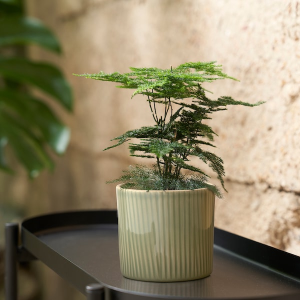 KLOTROBINIA - Planter holder, indoor/outdoor dark green,9 cm