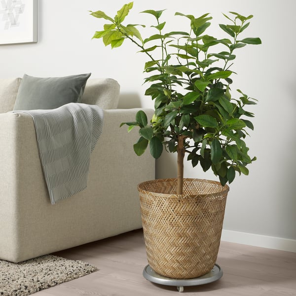 KLYNNON plant pot, handmade bamboo, 32 cm