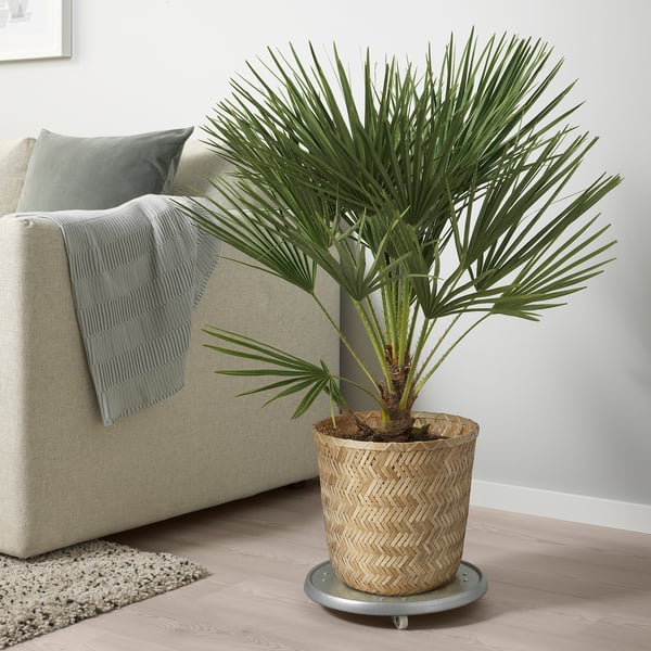 KLYNNON plant pot, handmade bamboo, 24 cm
