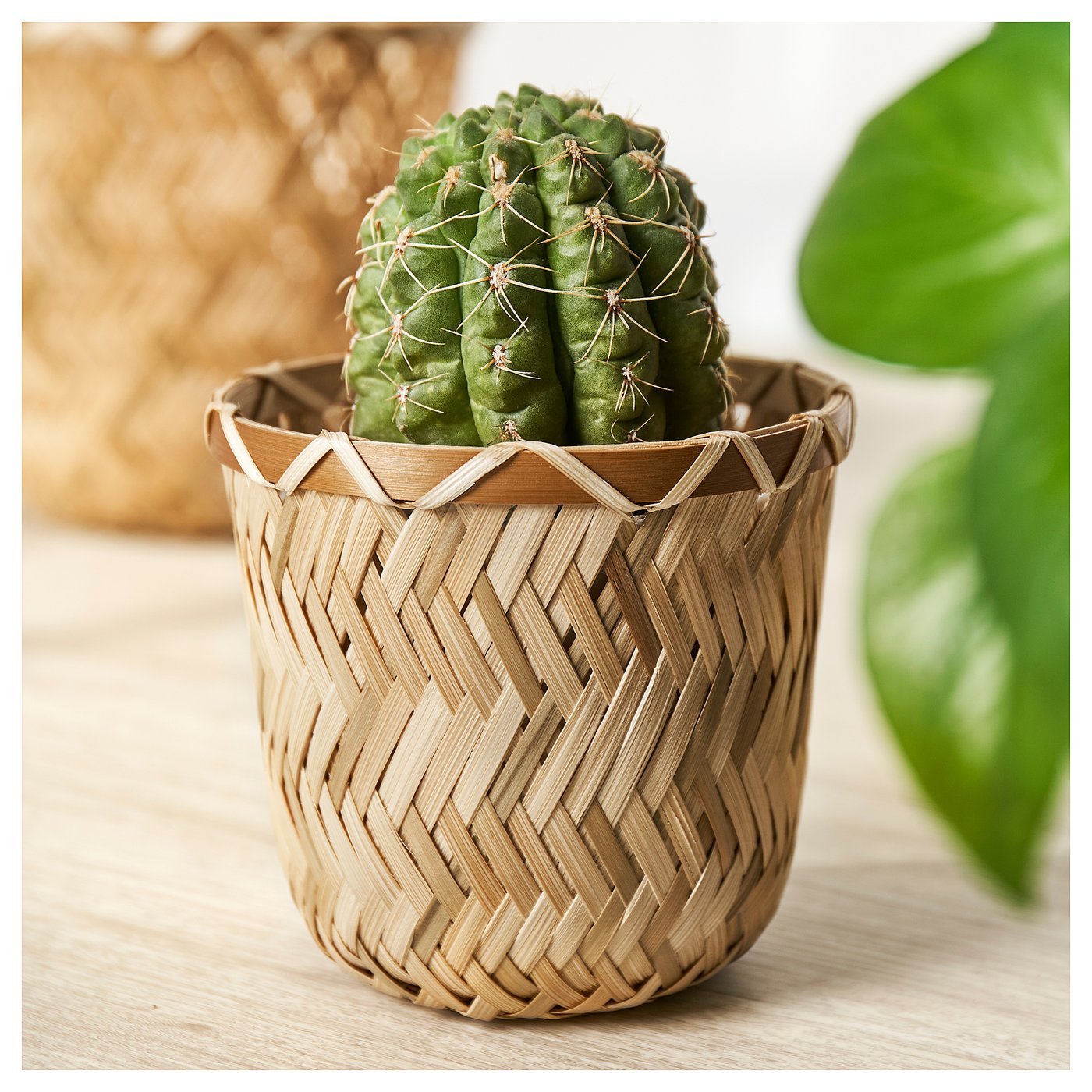 KLYNNON plant pot, handmade bamboo, 9 cm