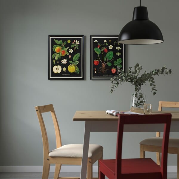 Ikea KNOPPÄNG - Frame with poster, vintage botanical fruit charts, 40x50 cm