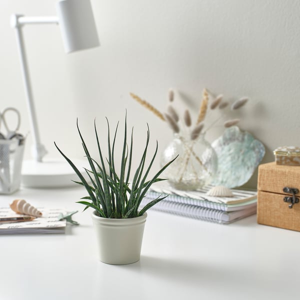 KÖRSBÄRSBJÖRK plant pot, light grey-beige, 6 cm