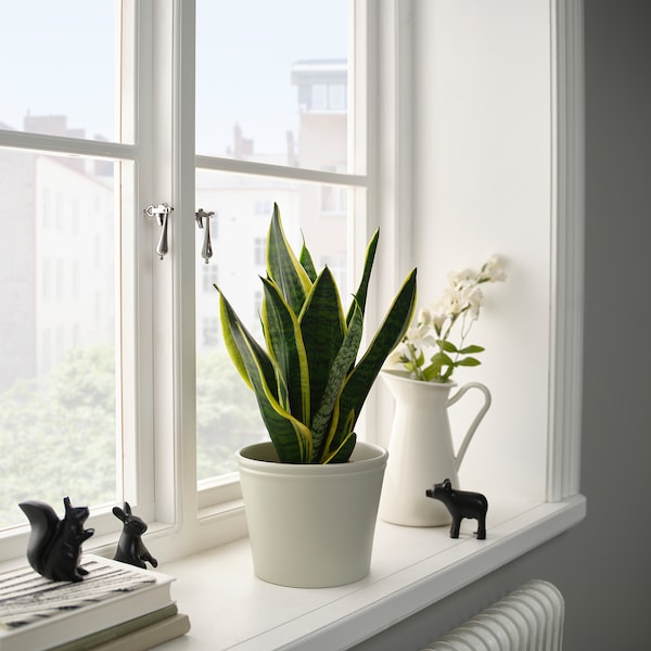KÖRSBÄRSBJÖRK plant pot, light grey-beige, 15 cm