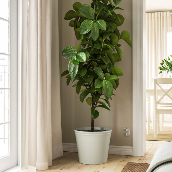 KÖRSBÄRSBJÖRK - Planter holder, light gray/beige,32 cm