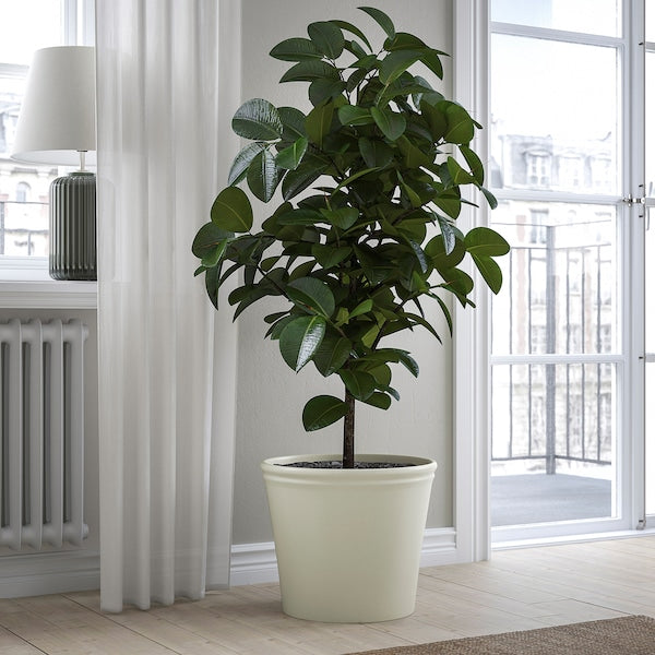 KÖRSBÄRSBJÖRK plant pot, light grey-beige, 32 cm
