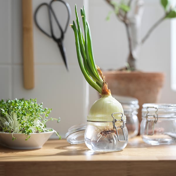 KORKEN jar with lid, clear glass, 0.5 l