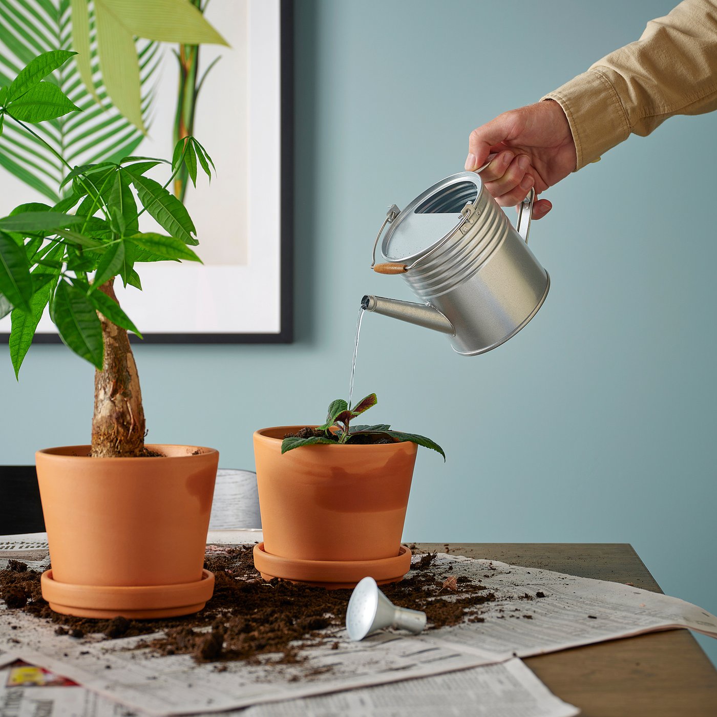 KORKGRAN watering can, in/outdoor/galvanised, 1 l