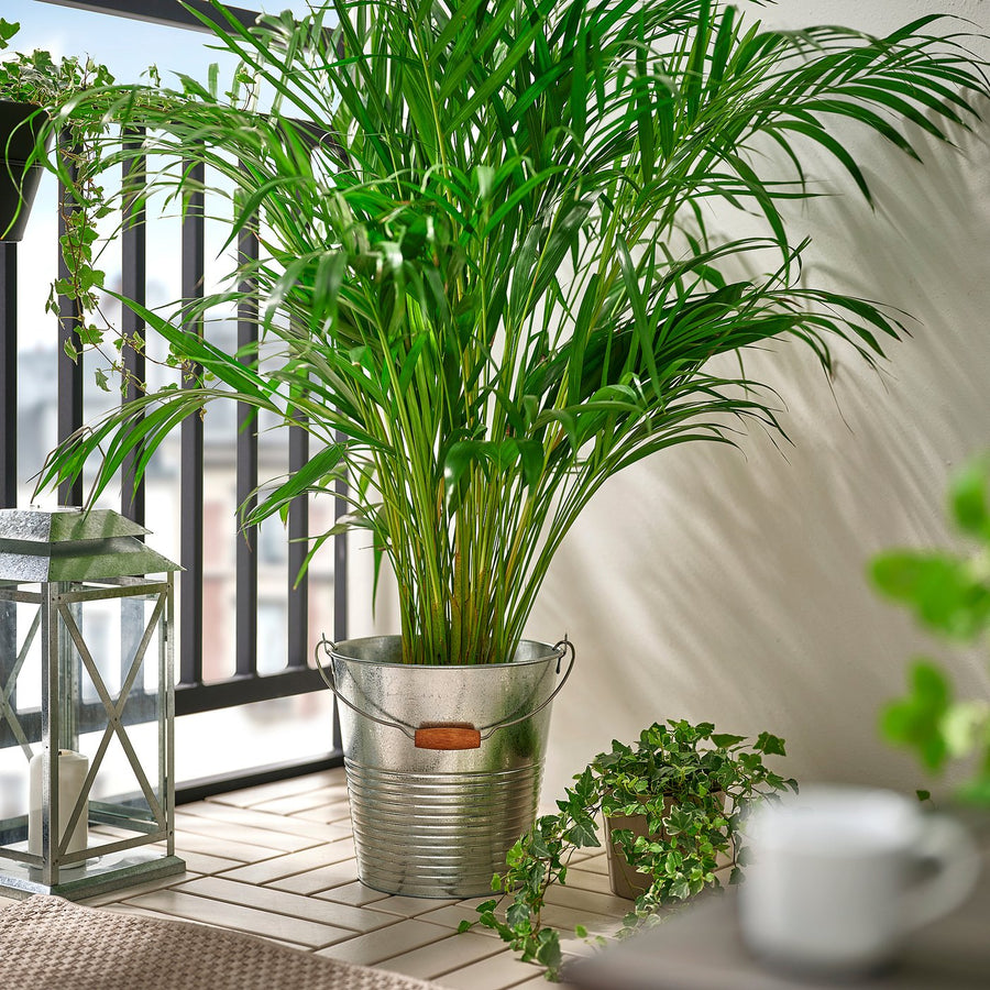 KORKGRAN bucket/plant pot, in/outdoor/galvanised, 28 cm