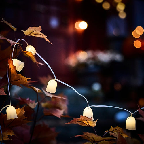 Candle holders & candles