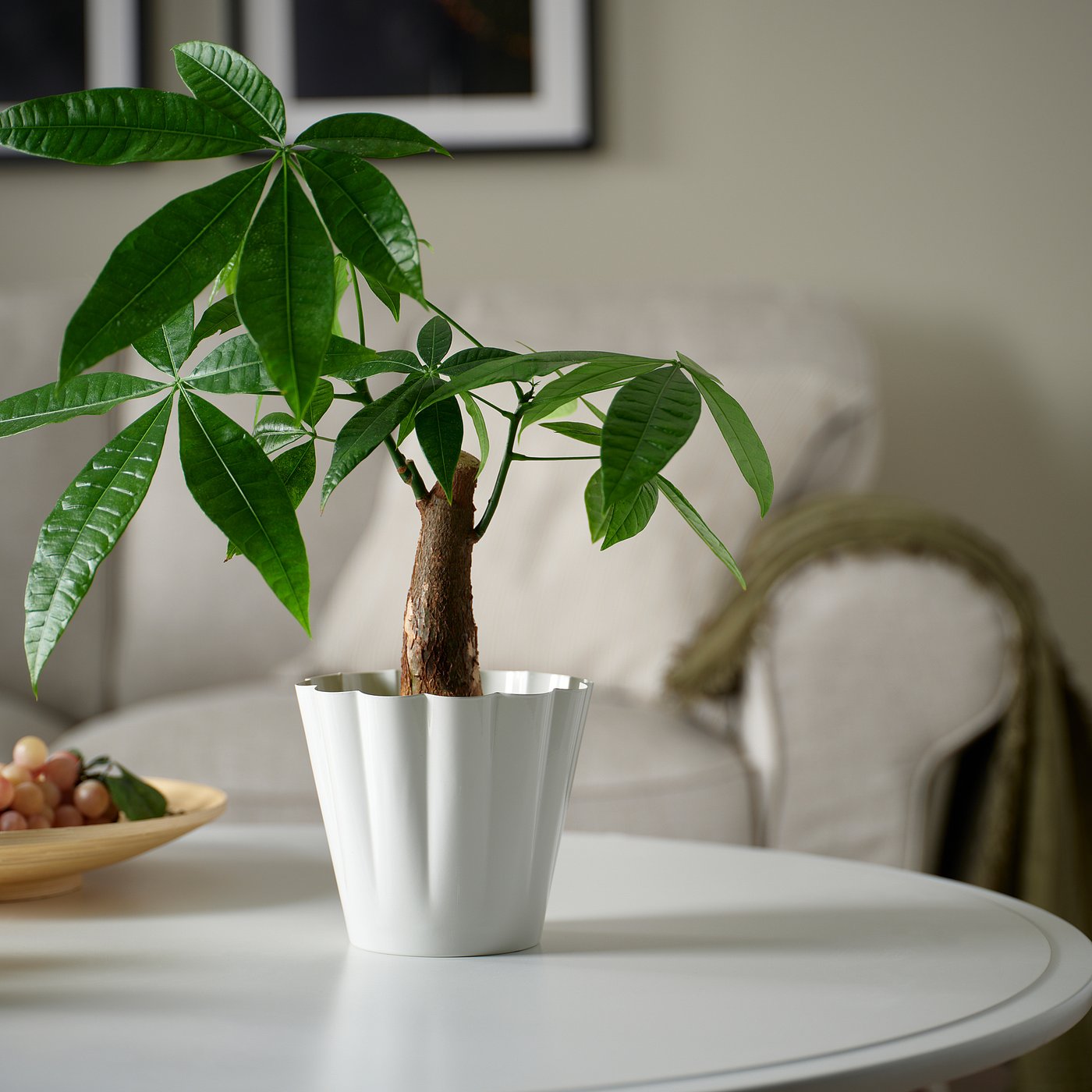 KVASTSPIREA plant pot, in/outdoor/off-white, 12 cm