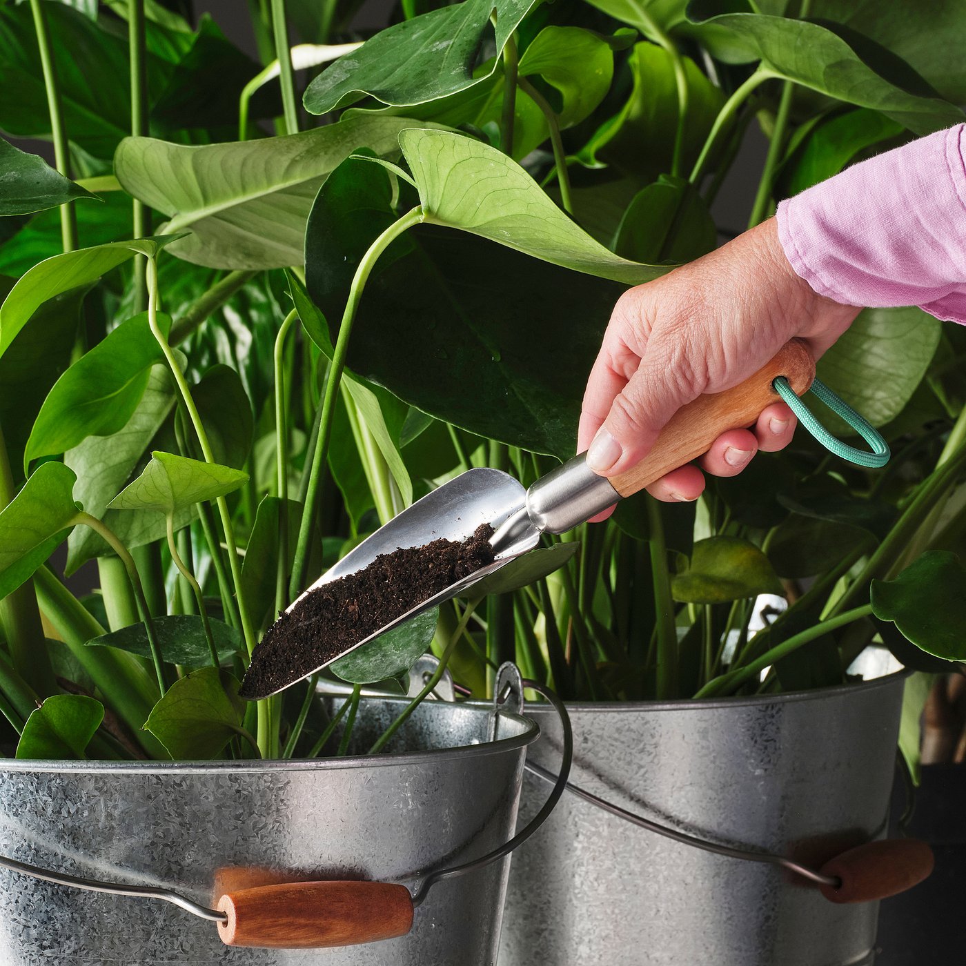 LÄRKAR 2-piece gardening set, birch/stainless steel large