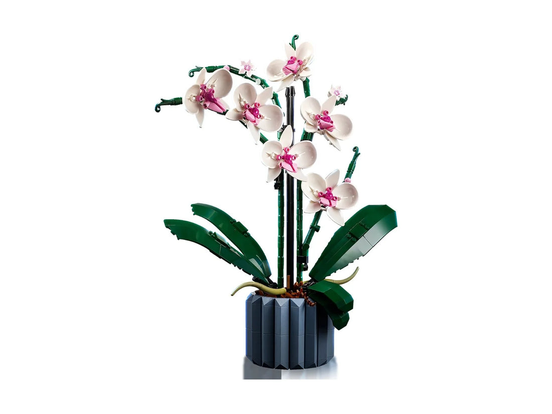 LEGO Icons Orchid Artificial Plant Building Set, Botanical Collection