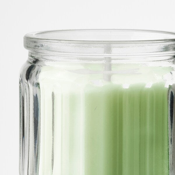 LÖVSKOGSLUND - Scented candle in glass, apple/light green, 12 hr