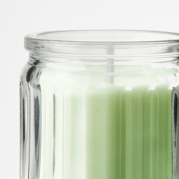 LÖVSKOGSLUND scented candle in glass, Apple/light green, 12 hr