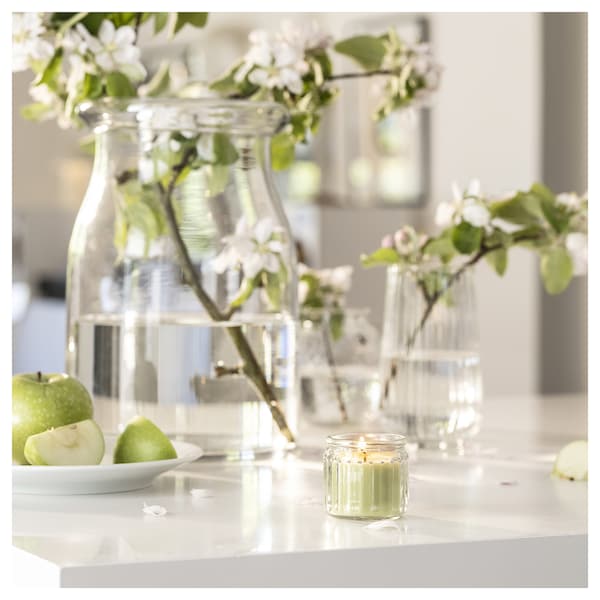 LÖVSKOGSLUND - Scented candle in glass, apple/light green, 12 hr