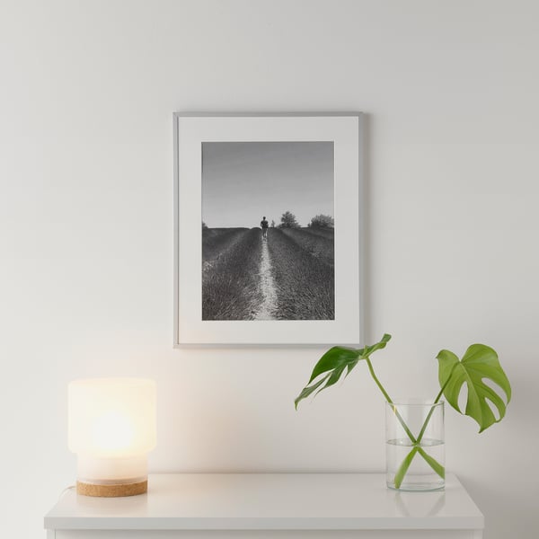 LOMVIKEN frame, aluminium, 40x50 cm
