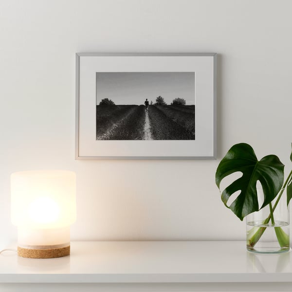 LOMVIKEN frame, aluminium, 30x40 cm