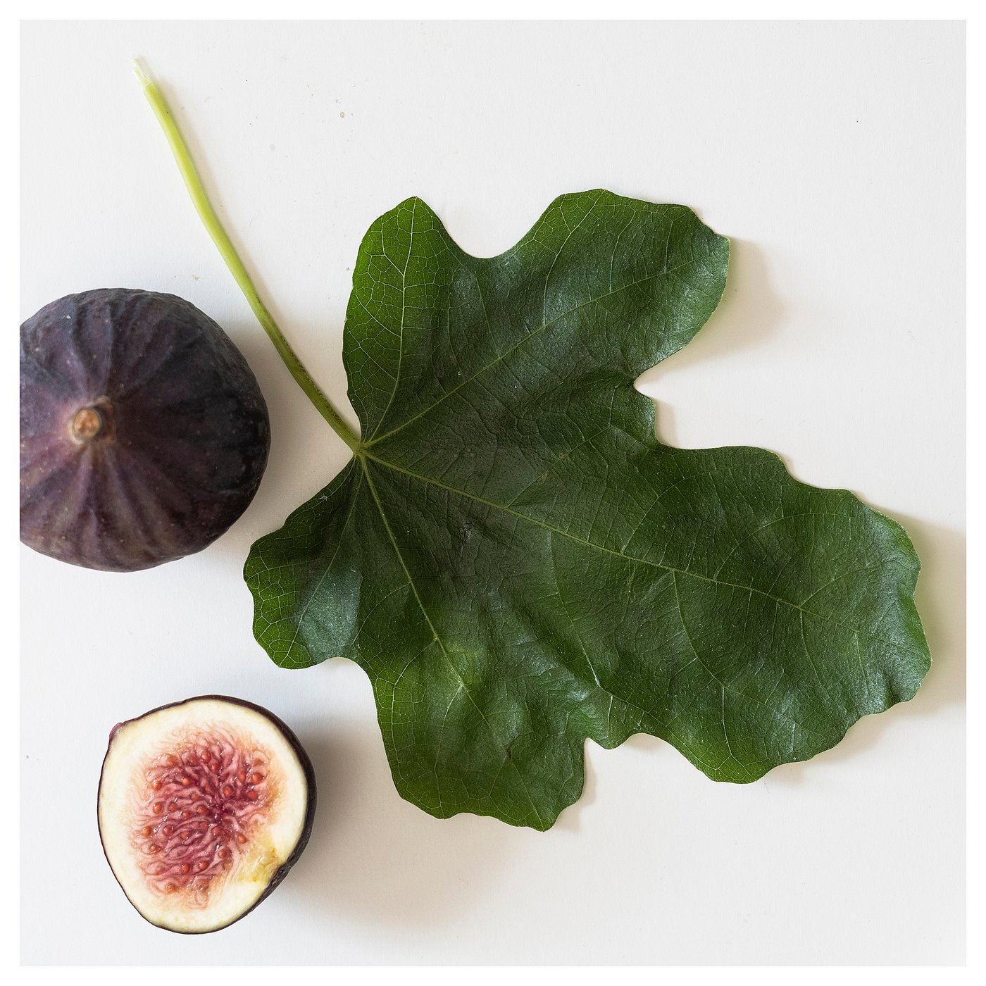 LOTSFÅGEL scented candle in glass, Fig leaf green, 8 cm