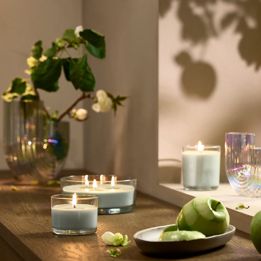 LOTSFÅGEL scented candle in glass, Apple light green, 40 hr