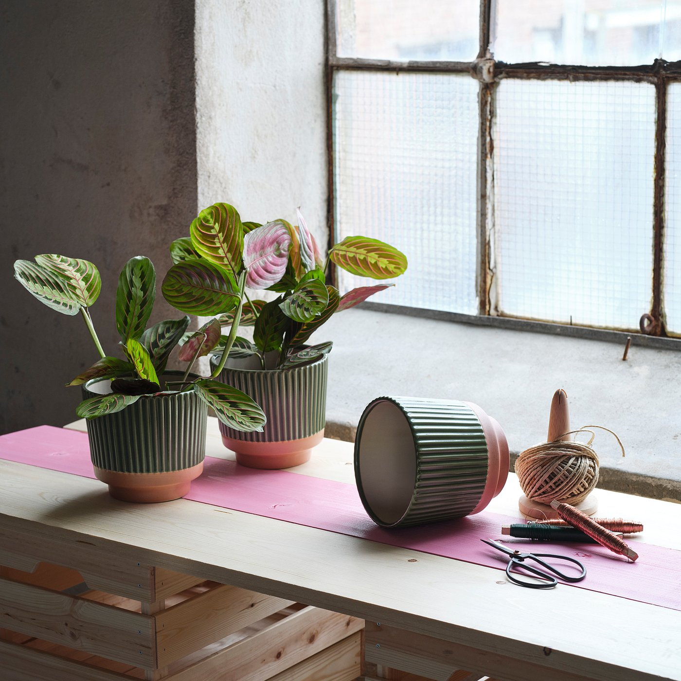 MÄVINN plant pot, green/sand, 16 cm