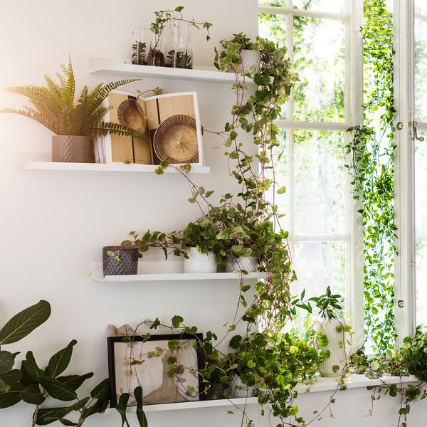 MALMBÄCK display shelf, white, 60 cm