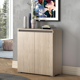 MULTI-PURPOSE CABINET - 2 DOORS. GOL HANDLE