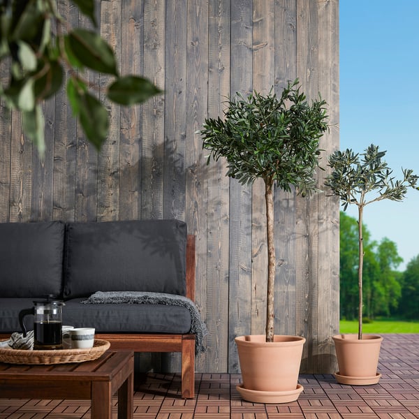 MUSKOTBLOMMA plant pot with saucer, in/outdoor terracotta, 24 cm