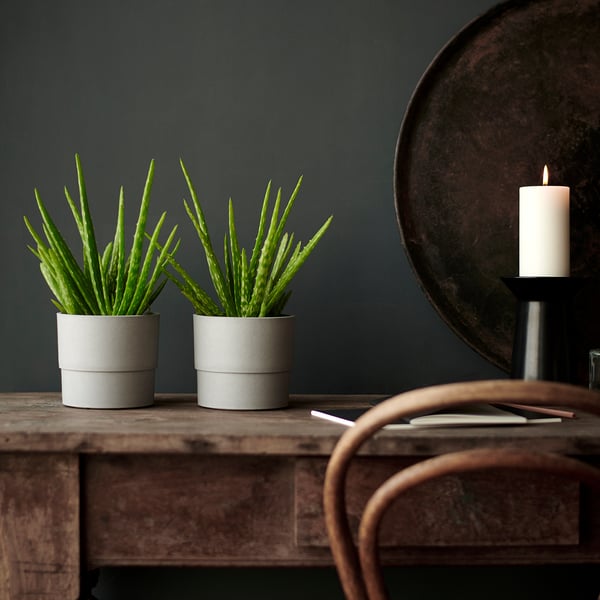 NYPON plant pot, in/outdoor grey, 12 cm