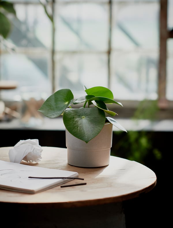 NYPON plant pot, in/outdoor grey, 12 cm