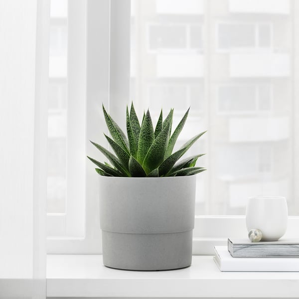 NYPON plant pot, in/outdoor grey, 15 cm