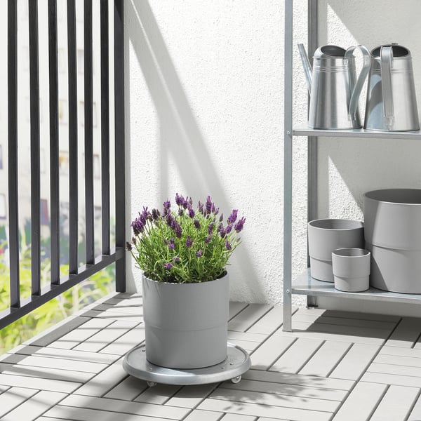 NYPON plant pot, in/outdoor grey, 19 cm
