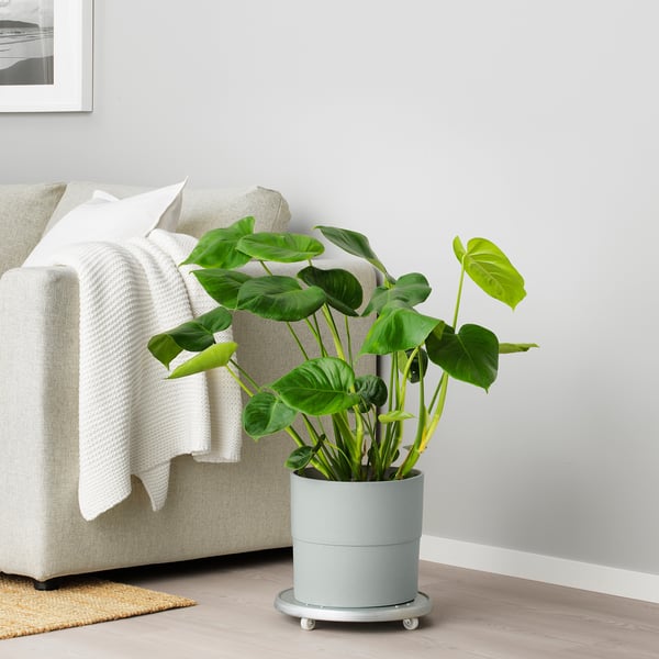 NYPON plant pot, in/outdoor grey, 24 cm