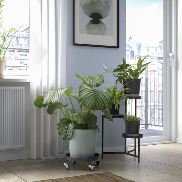 OLIVBLAD - OLIVBLAD Plant mover, in/outdoor dark grey, 32 cm