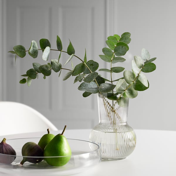 PÅDRAG vase, clear glass, 17 cm