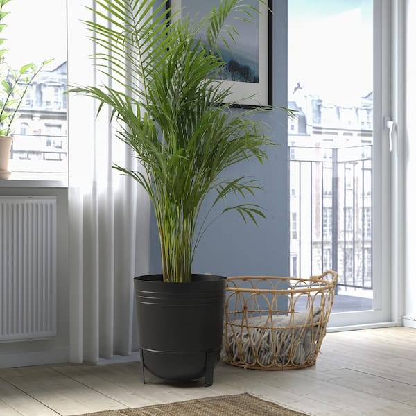 Ikea PÄRLRÖNN - Planter holder, indoor/outdoor/black,32 cm