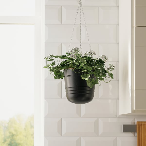 PÄRLRÖNN - PÄRLRÖNN Hanging planter, in/outdoor/black, 15 cm