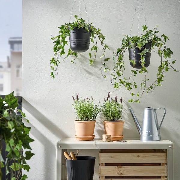 Ikea PÄRLRÖNN - Hanging pot holder, indoor/outdoor/black,15 cm