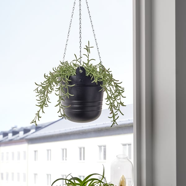 PÄRLRÖNN - PÄRLRÖNN Hanging planter, in/outdoor/black, 15 cm
