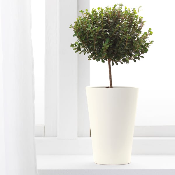 PAPAJA plant pot, white, 12x19 cm