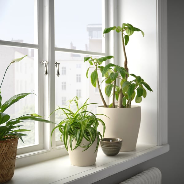 PERSILLADE plant pot, light beige, 12 cm