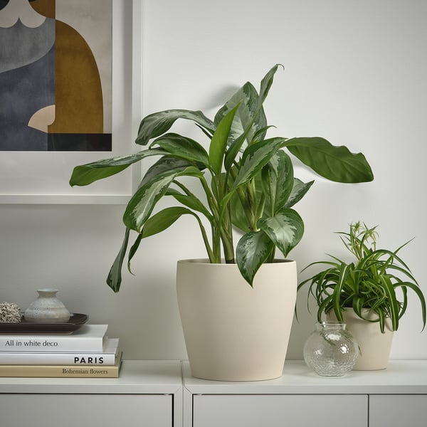 PERSILLADE plant pot, light beige, 19 cm