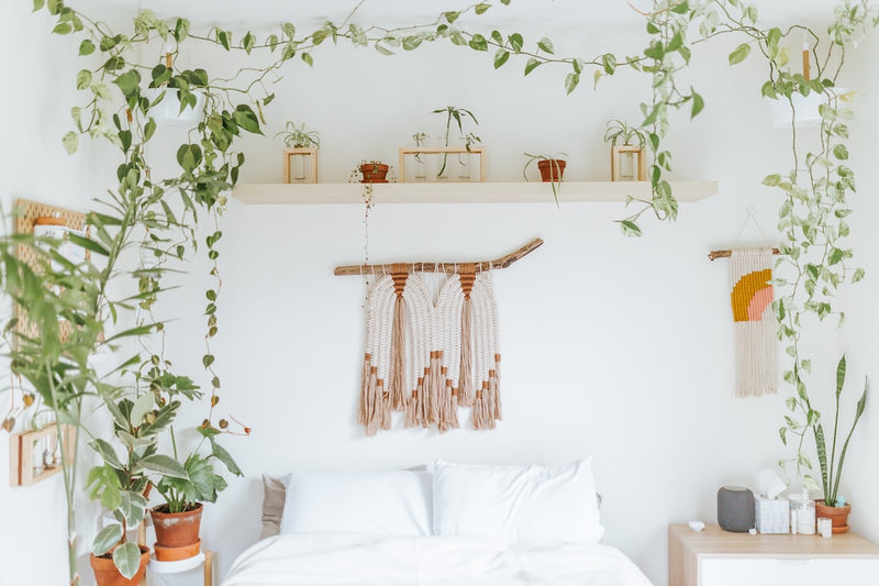 Transform Your Bedroom with CASASHOPS Products